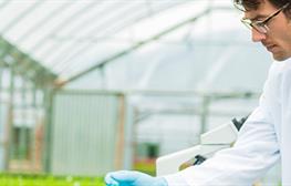 Regulation of cosmetic products in the UK
